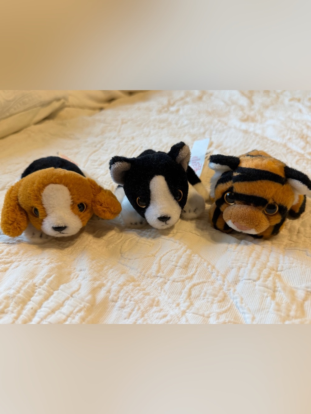 Russ 5” Puppies/Cub Tiger Plushies Set